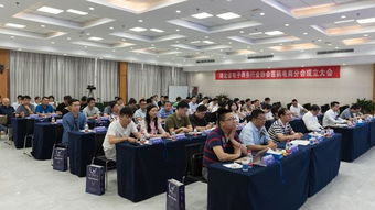 湖北电商新格局 医药电商分会正式启航